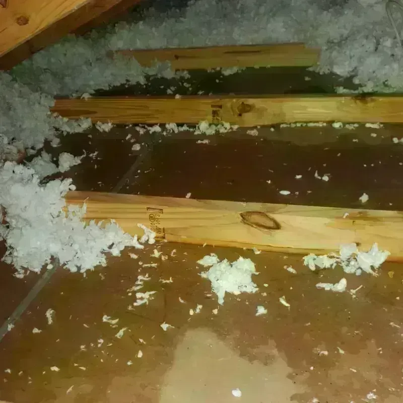 Attic Water Damage in North Sea, NY