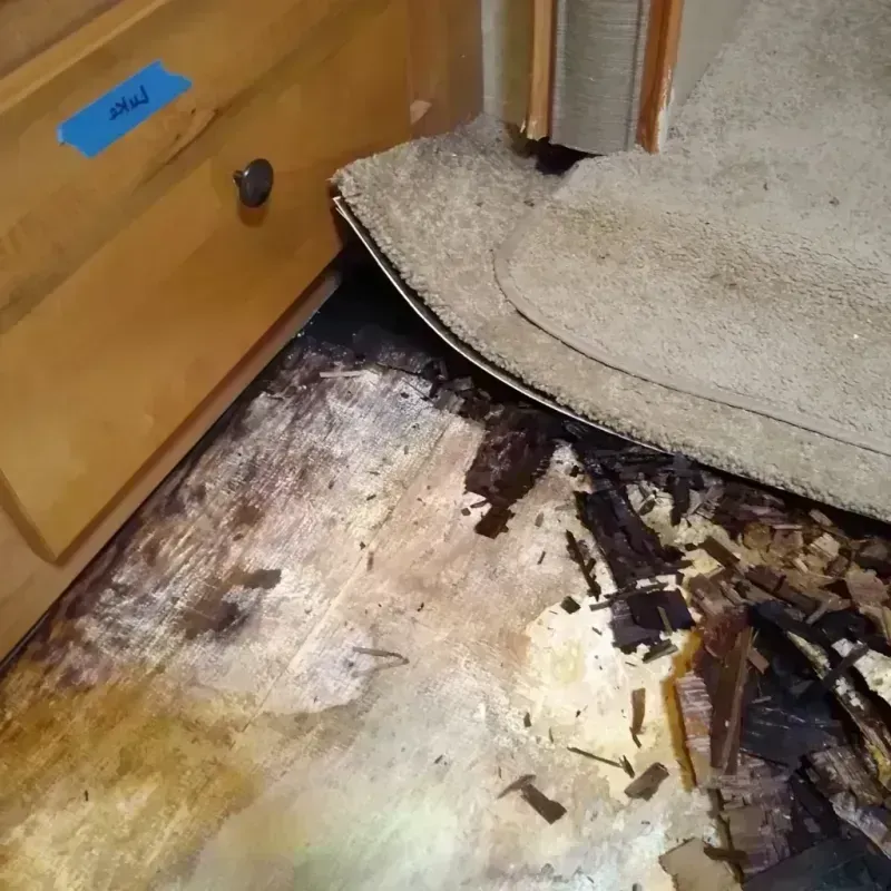 Wood Floor Water Damage in North Sea, NY